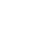 Civil Society, Campaigns & Advocacy