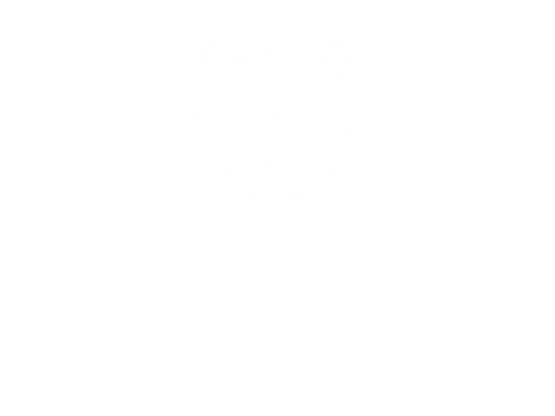 Countries Represented
