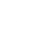 EV Manufacturing & OEMs