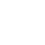 Electrified Public & Shared Transport