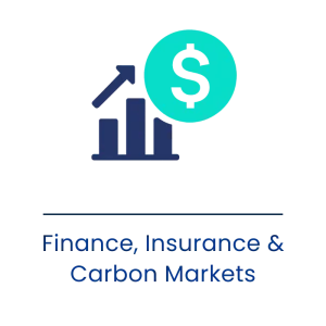 Finance, Insurance & Carbon Markets