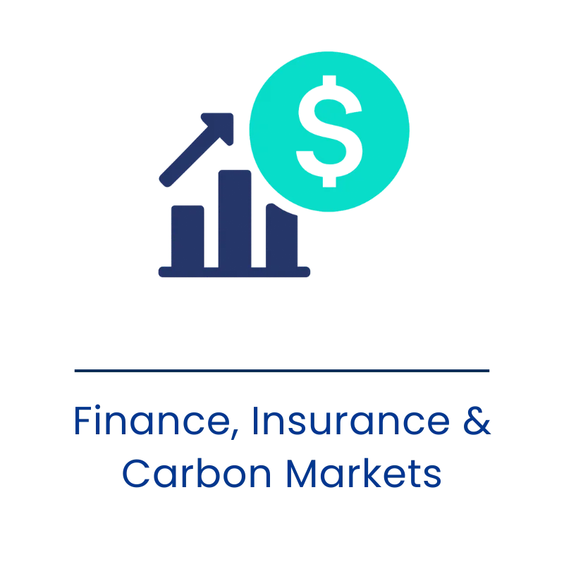 Finance, Insurance & Carbon Markets