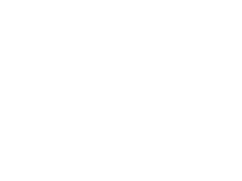 Media Partners