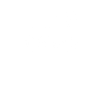 Mobility Services & Business Models