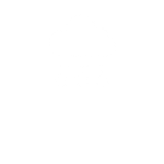 Software, Connectivity & Cybersecurity