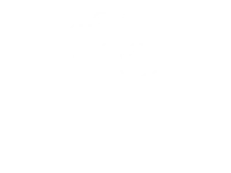 Assets From Participating Entities