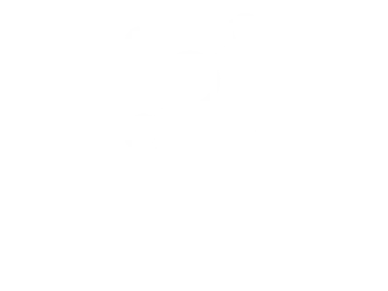 distinct-mobility-sectors